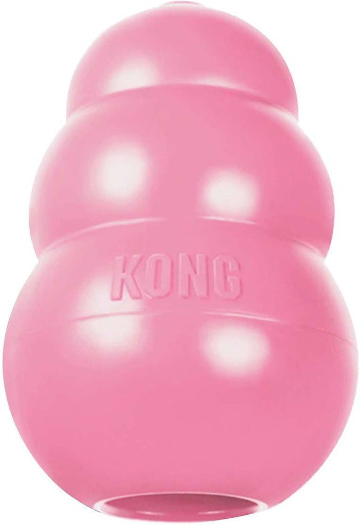 The 13 Best Kong Toys for Chewing and Playtime