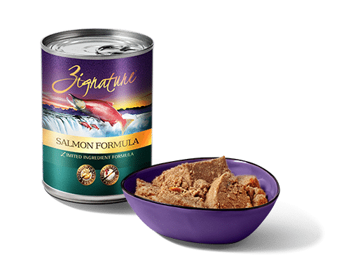 Zignature Salmon Ingredient Formula Grain-Free Canned Dog Food - 13oz