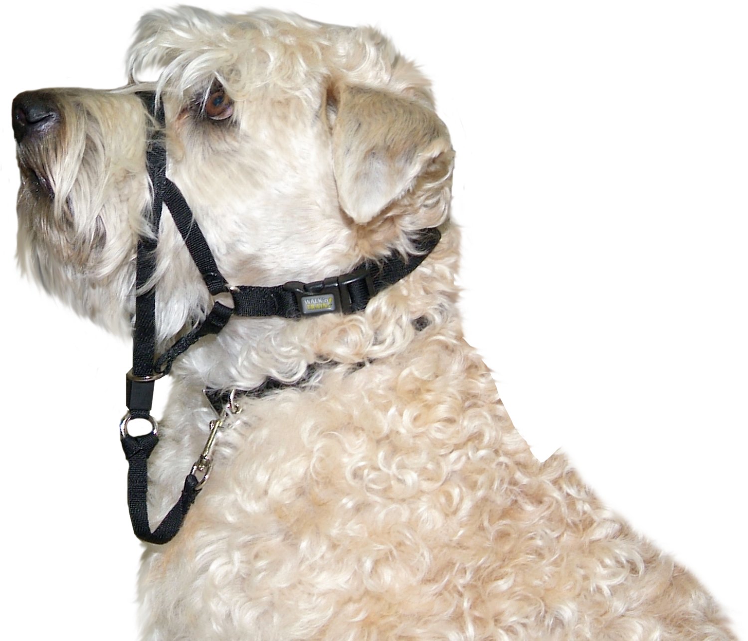 Coastal Pet Walk n Train Dog Head Halter