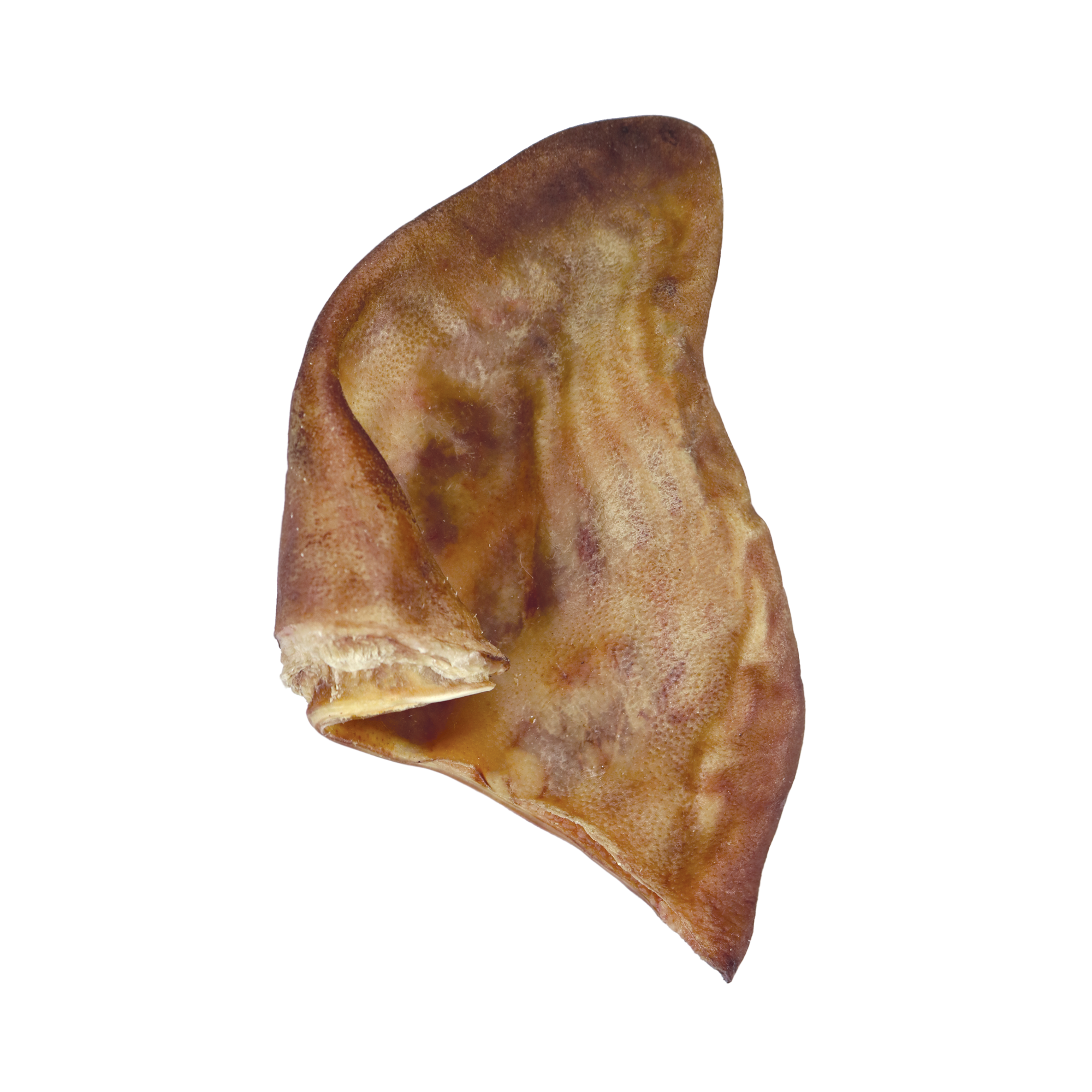 Vital Essentials Raw Bar Freeze Dried Pig Ear 1 Piece VIP Pets