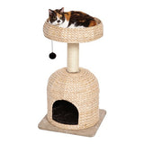 MidWest Feline Nuvo Cat Furniture Durable Scout Cat Tree & Cat Scratching Post